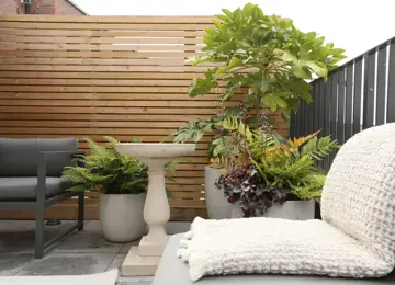 Styled new build terrace featuring potted plants and a bird bath.